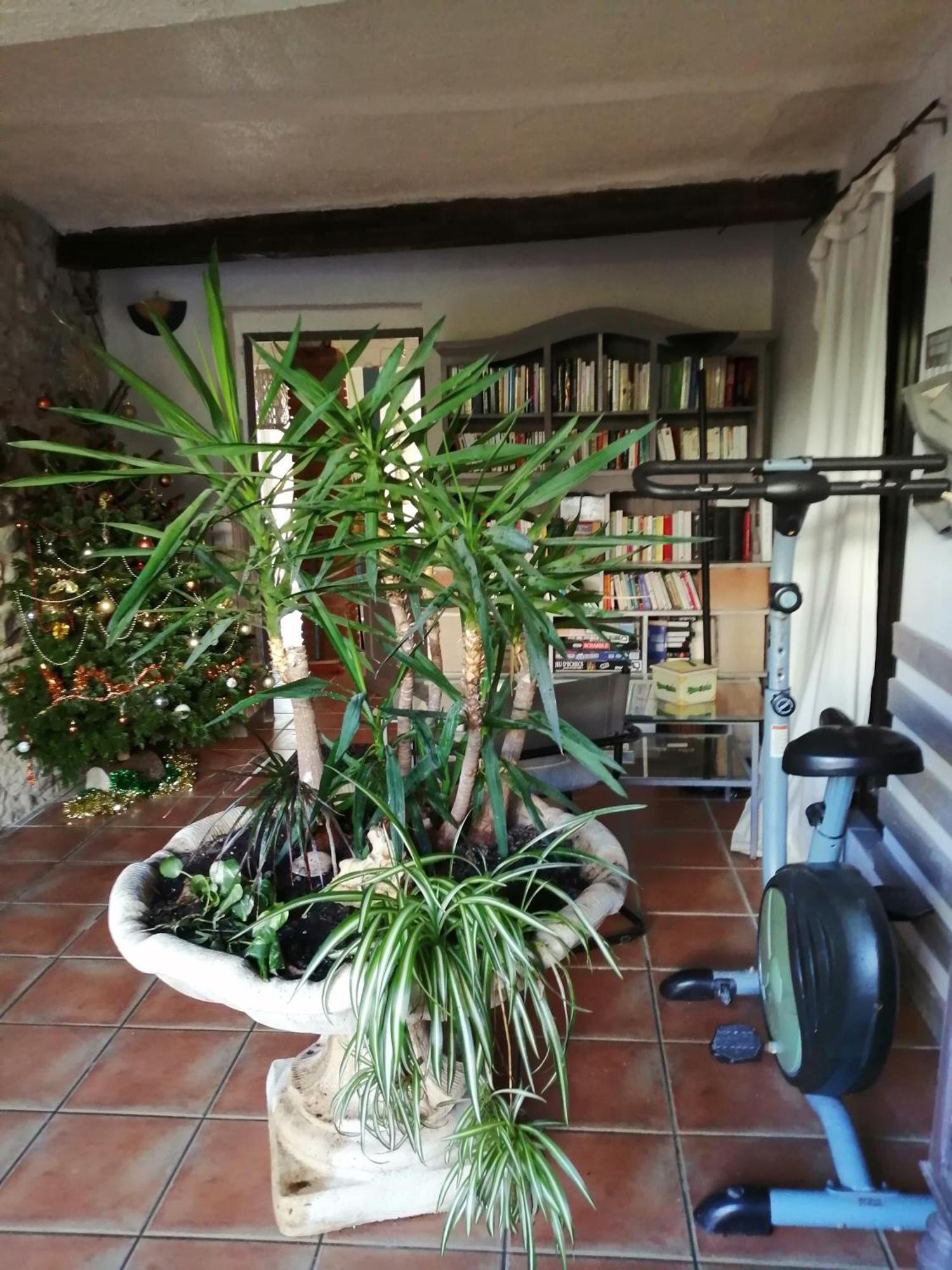 Holiday home Belle Maison De Caractere Dans Village Et Sa Piscine Privee 7 Pers- 3 - 12 Rue Emile Zola Millas